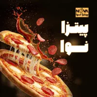 آشپز حرفه ای