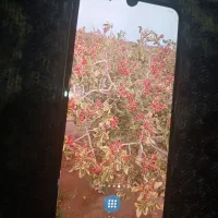 گوشیa24|موبایل|اهواز, شهرک برق|دیوار