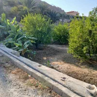 زمین مسکونی منطقه کوهستانی خائیز