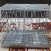 قفس پرنده محکم|لوازم جانبی حیوانات|سهند, |دیوار