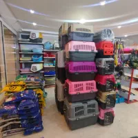 خاک و باکس گربه