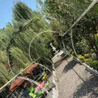 کافه رستوران- فعال