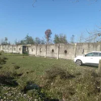 زمین مرغداری