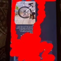 گربه گمشده درمحدوده میدان شریعتی وکوچه های اطرافش