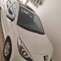 ۲۰۷ پاناروما
