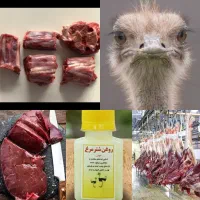 گوشت تازه شترمرغ کشتار همه روز