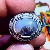 انگشترهای  شجر کلکسیونی