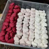 قندگیاهی قند گیاهی‌فقط 50تومن نبات شاخه ای 10هزار|خوردنی و آشامیدنی|قم, ولیعصر|دیوار