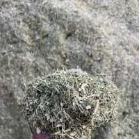 کاه لوبیا ۲۰۰کیلو