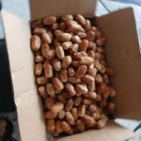 قصب درجه یک 8 کیلو