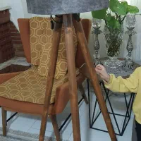 آباژور ایستاده