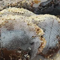 عسل طبیعی صددرصد کوهی