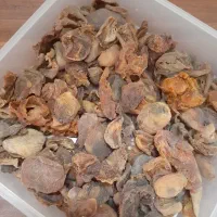 برگه زرد آلو خوش قیمت