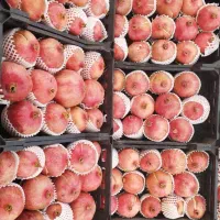 انار دانه سیاه شرین|حراج|بهبهان, |دیوار