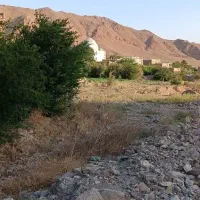 باغ خمسیان