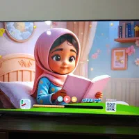 تلوزیون|تلویزیون و پروژکتور|یاسوج, |دیوار