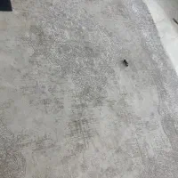 فرش|فرش|تهران, مجیدآباد|دیوار