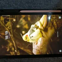 Samsung tab s6 lite تبلت|تبلت|کرج, حسن آباد|دیوار