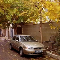 دوو سیلو مدل ۸۱