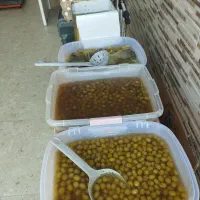 مرغ سمین درشت و ریز سینه دار با رستوران کبابی|خوردنی و آشامیدنی|رشت, نخودچر|دیوار