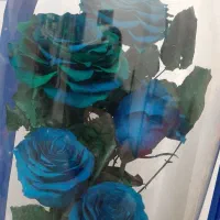 گل رز جاودان آبی