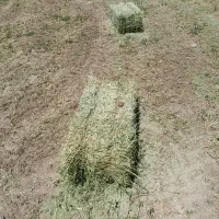 یونجه چین دو  ۲۳۰پرس
