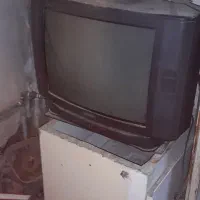 تلویزیون۱۴ و۲۱ هردو رنگی|تلویزیون و پروژکتور|تهران, دژکام|دیوار