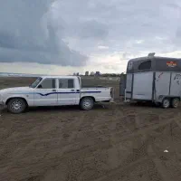 اسبکش|خدمات حمل و نقل|نجف‌آباد, گلدشت|دیوار