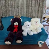 عروسک خرس در سایز های مختلف