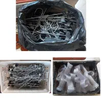 رگال ومانکن