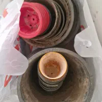 تعدادی گلدان سالم