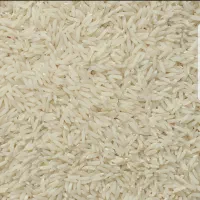 برنج هاشمی خوش عطر و طعم سورتینگ شده دو الکه|خوردنی و آشامیدنی|لنگرود, |دیوار