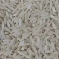 برنج محلی دورود