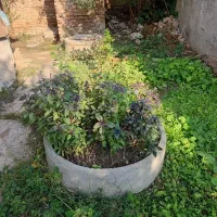 خانه-اجاره-ای