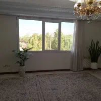 دو گل ریشه ای بزرگ و زیبا و با دوام|گل و گیاه طبیعی|تهران, مجیدآباد|دیوار