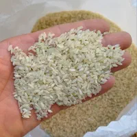 برنج کامفیروز لاشه  برنج کامفیروزی|خوردنی و آشامیدنی|یزد, |دیوار