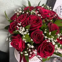 گل رز|گل و گیاه طبیعی|مشهد, آبکوه|دیوار