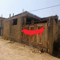 اسکلت