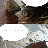 انواع و اقسام سنگ های|صنایع دستی و سایر لوازم تزئینی|اشکذر, |دیوار