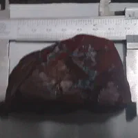 سنگ جاسپر قرمز|جواهرات|محمدیه-قزوین, |دیوار