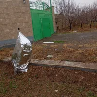 سلام گاوداری صنعتی