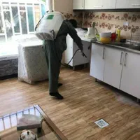 سم پاشی و ضدعفونی با بهترین داروها زیر نظر بهداشت