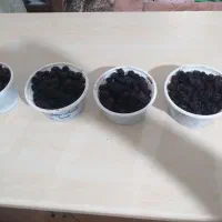 شاه توت تازه ظرفی ۱۲۰تومان