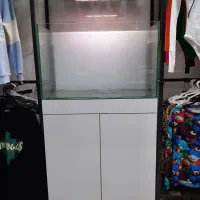 آکواریوم ریملس ۱۰ میل در حد نو|ماهی|شهریار, شهرک بهاران (ویره)|دیوار