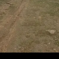 زمین در شهرک دانشگاه