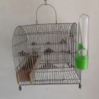 قفس،قفس سهره