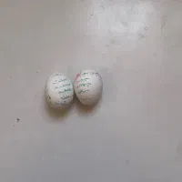 کتاب دفع انرژی منفی|کتاب و مجله مذهبی|کرمان, |دیوار