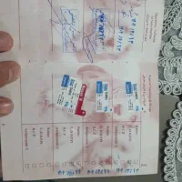 واگذاری  رایگان سگ جک راسل|سگ|اقلید, |دیوار