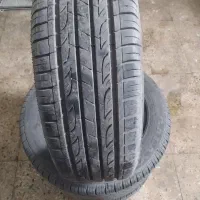 لاستیک گلدستون