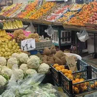 نیرو جهت کار در میوه فروشی